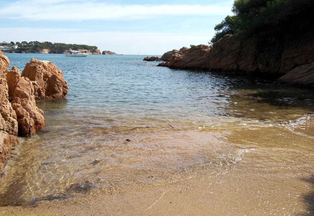 Cala del Maset en Sant Feliu de Guíxols 2024 Visita Costa Brava