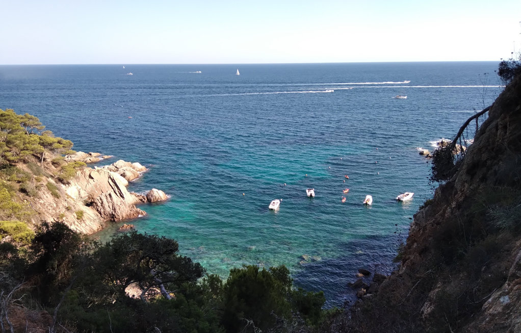 Cala Senià en Palamós 2024 Visita Costa Brava