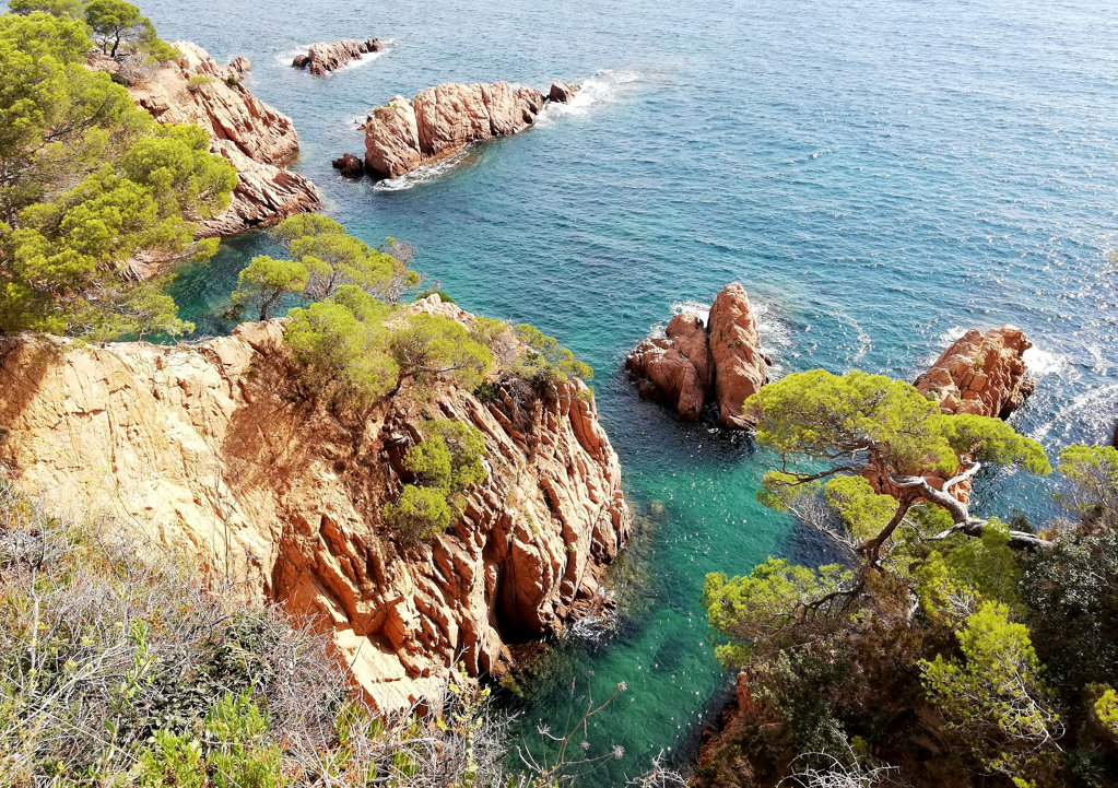 Ametller cove in Sant Feliu de Guíxols - 2024 - Visit Costa Brava