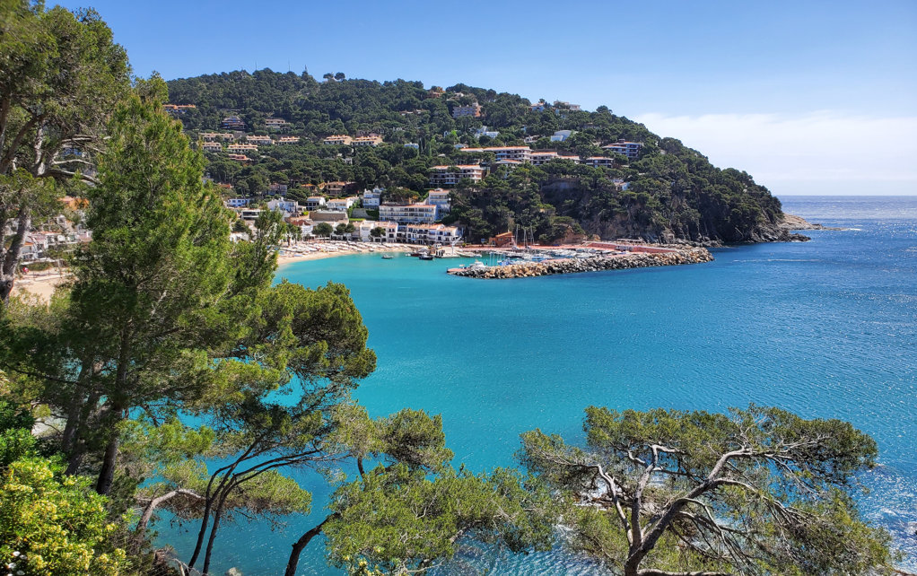 Llafranc beach - 2024 - Visit Costa Brava