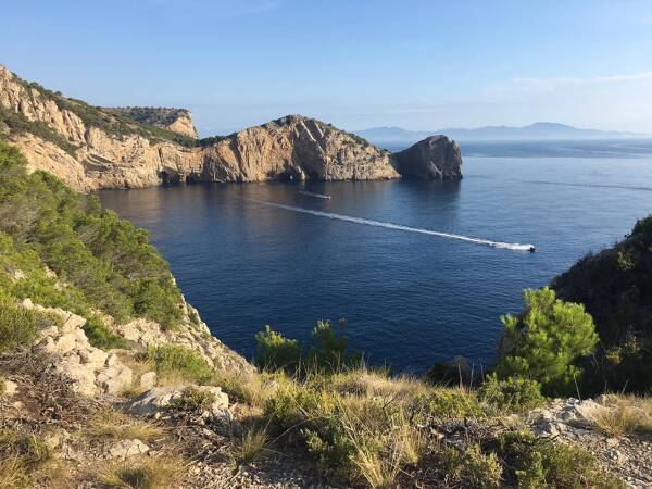 Boat trip to the Medes Islands and Roca Foradada L'Estartit