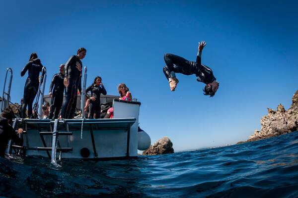 Tour of the Medes Islands and swimming in the Montgrí Natural Park L'Estartit