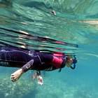 Eco-Snorkel in the Medes Islands