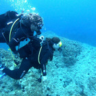 Discover scuba diving at Costa Brava coast