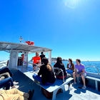 Paseo en barco por el Parque Natural del Montgrí