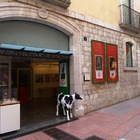 Entrades al Museu del Joguet de Catalunya